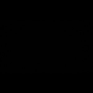 Meet your Posher, Symone